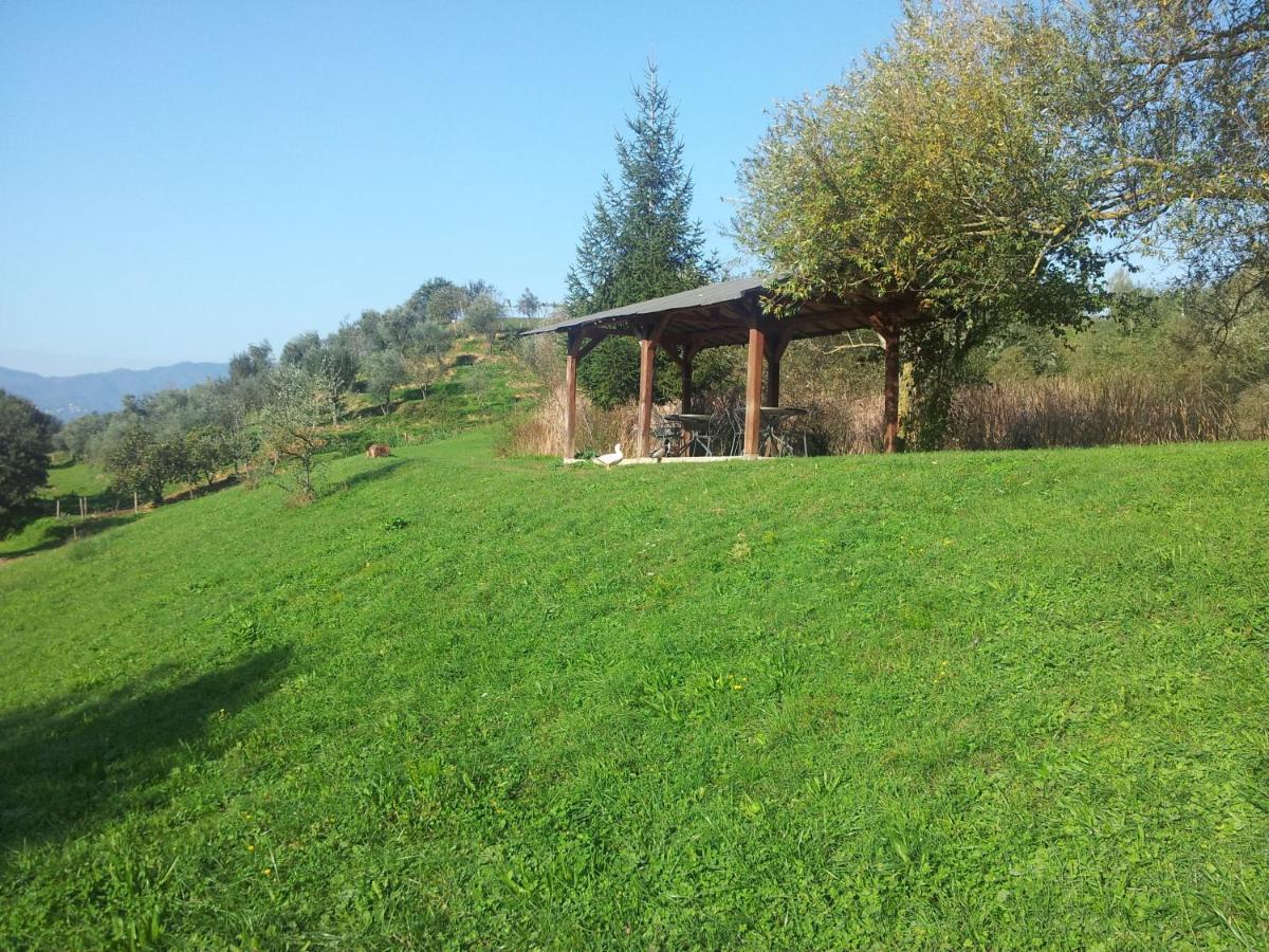 Agriturismo Il Picchio Verde Licciana Nardi Exterior foto